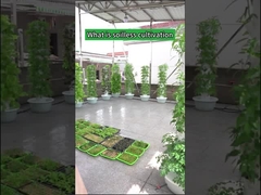 Bahçe Kapalı Tarım Petal Topraksız Yetiştirme Kuleleri