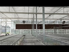 Hasır Tel Sera Tohumlama İçin Büyüyen Masa Haddeleme Tezgahı