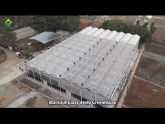 Ticari Tarımsal Cam Evi Venlo Yukarı Havalandırma Çok Aralıklı Sera