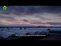 Büyük çok açıklıklı film tarım serası