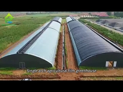 Güneşlik filesi olan kemer film serası
