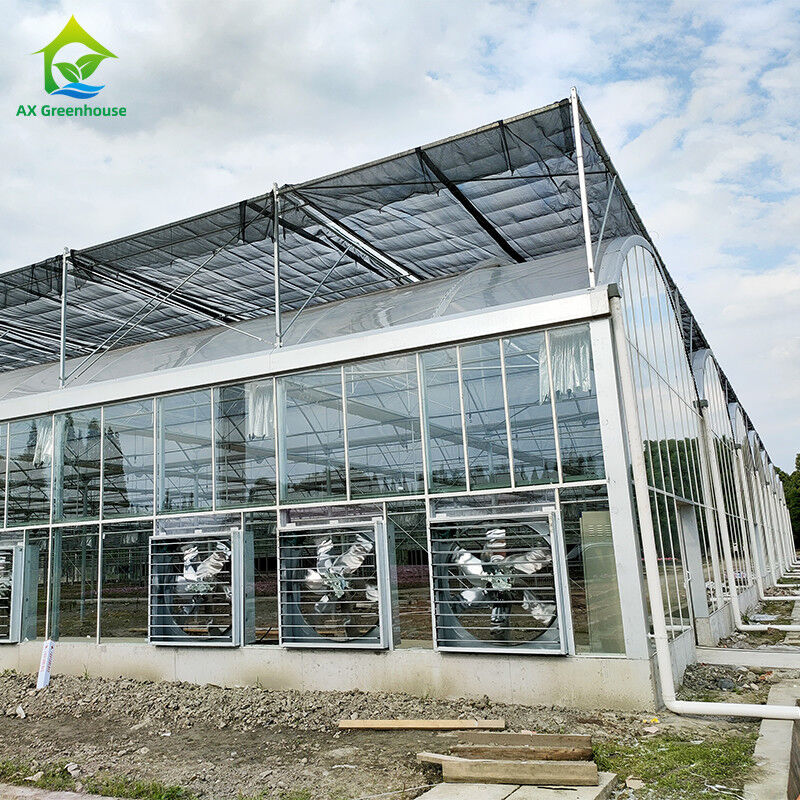Akıllı Kontrol Sistemi Sebzeler İçin Kalıcı Sera 9.6m/10.8m/12m Genişlik