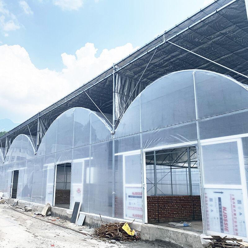 UV direnci 30x10m Film kaplı domates ve sebze için plastik film sera