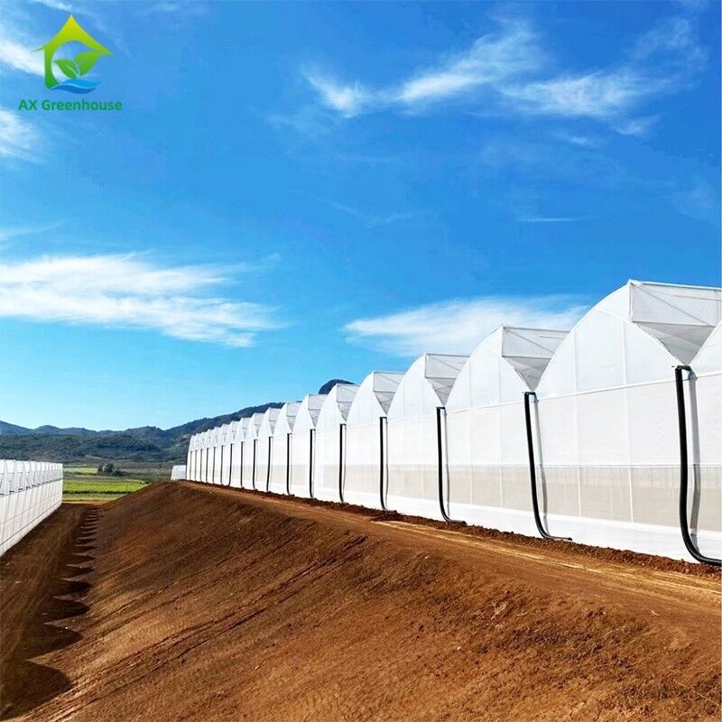 Plastik UV Film Poly Tünel Tarımsal Çakmak Dişli Çok Aralıklı Özel Sera Satılıyor