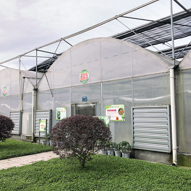Sabit Yapı Endüstriyel Plastik PE Film Çoklu Aralık Tarım Çiçek Evi Poly Tünel Sera