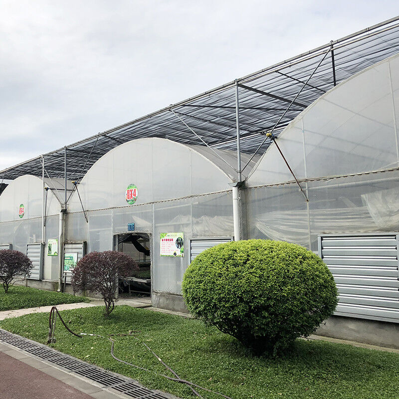 Sabit Yapı Endüstriyel Plastik PE Film Çoklu Aralık Tarım Çiçek Evi Poly Tünel Sera