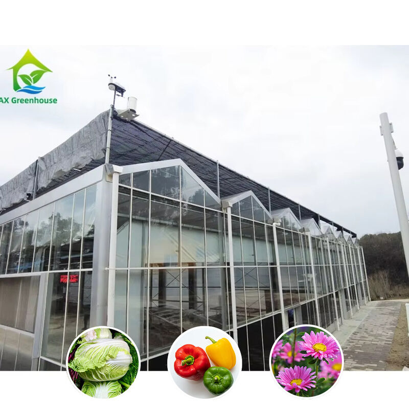 Üçgen Çatı Kalıplandırması ve Havalandırma için Üst Taraf Havalandırması ile Multi Span Venlo Stili Cam Tarımsal Sera
