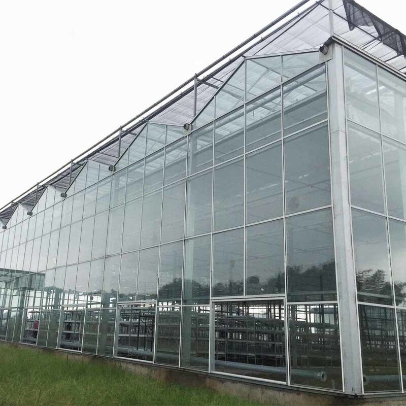 Üçgen Çatı Kalıplandırması ve Havalandırma için Üst Taraf Havalandırması ile Multi Span Venlo Stili Cam Tarımsal Sera