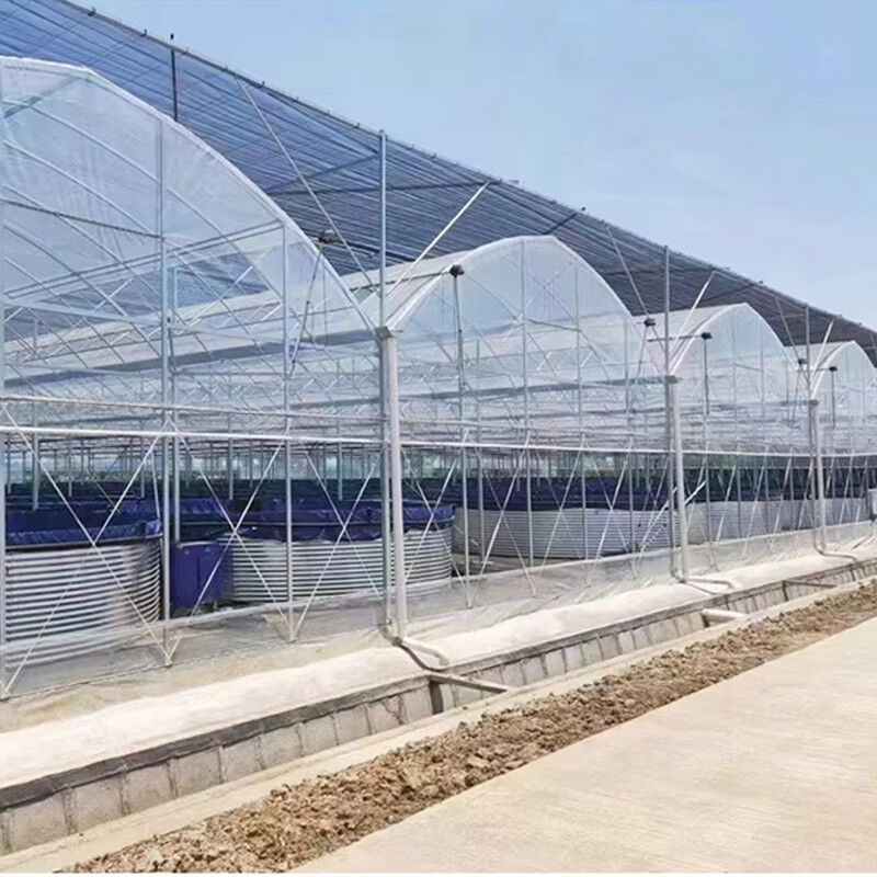 Dayanıklı Çok Açıklıklı Polietilen Tünel Sera Ağır Hizmet Tipi Çelik Rüzgar Kar Direnci Ticari Çiftlikler Fidanlıklar