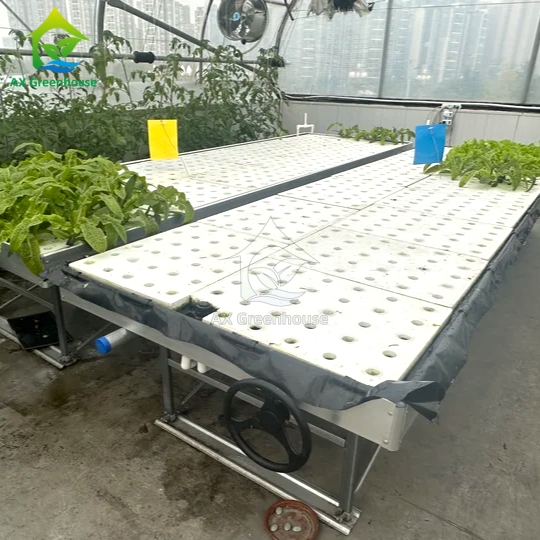 Ebb&Flow Rolling Bench Floating Board DWC Derin Su Kültürü Sera Topraksız Sebze yetiştirme