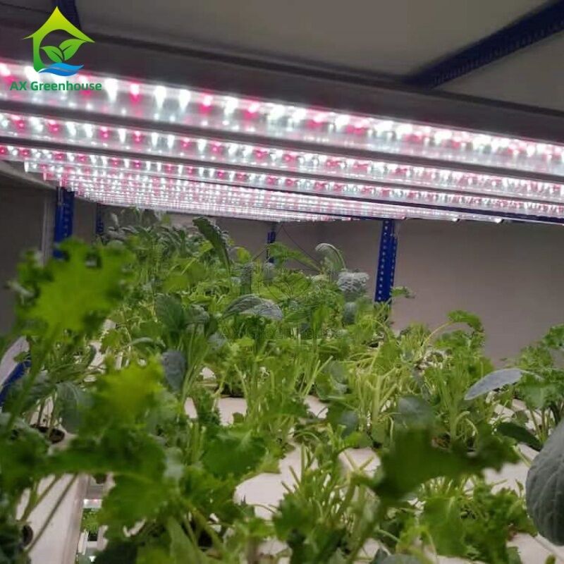 Entegre LED Aydınlatmalı, Topraksız Yetiştirme İçin Otomatik Çok Katmanlı Dikey NFT Hidroponik Sistem