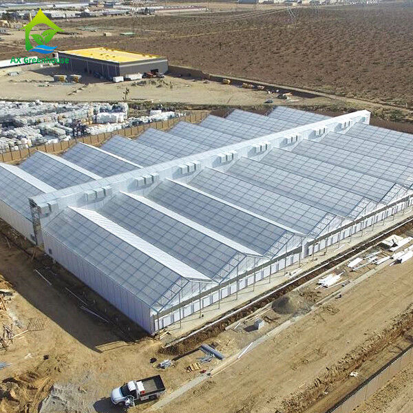 İç Karartma Özelliğine Sahip Otomatik Ticari Işık Kesme Sera, 32m-50m Uzunluk ve 8m-12.6m Genişlik